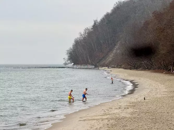 out-of-season. plik: tlusta-mewa-apartament-gdynia-out-of-season-poza-sezonem - 6.webp